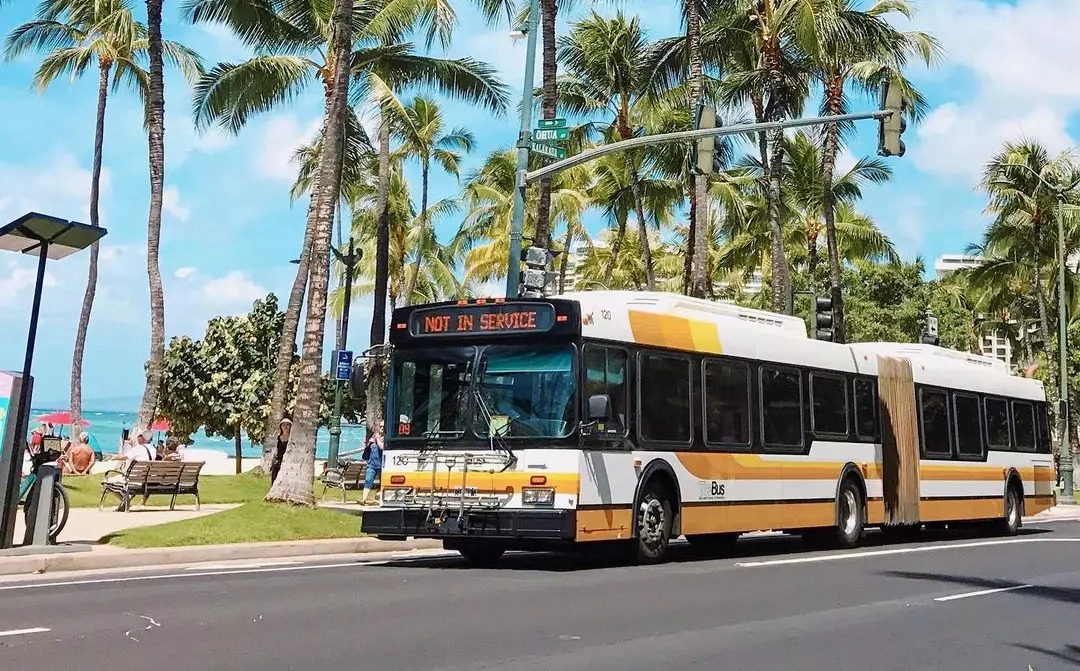 初心者必見！ハワイ旅行で便利な「ザ・バス」の乗り方ガイド | ALOCO 
